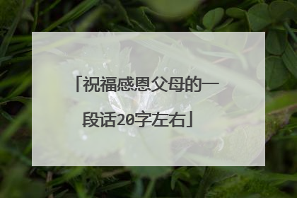 祝福感恩父母的一段话20字左右