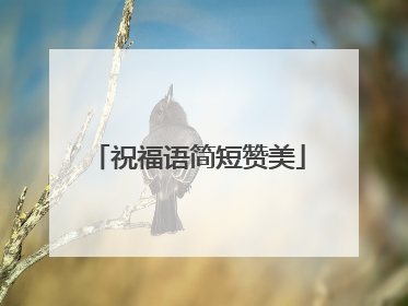 祝福语简短赞美