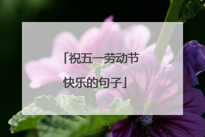祝五一劳动节快乐的句子