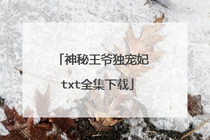 神秘王爷独宠妃txt全集下载