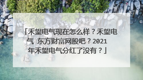 禾望电气现在怎么样？禾望电气 东方财富网股吧？2021年禾望电气分红了没有？