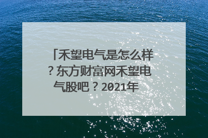 禾望电气是怎么样？东方财富网禾望电气股吧？2021年禾望电气会分红？