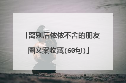 离别后依依不舍的朋友圈文案收藏(60句)