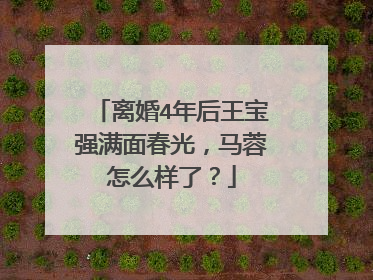 离婚4年后王宝强满面春光，马蓉怎么样了？