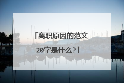 离职原因的范文20字是什么?
