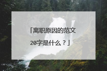 离职原因的范文20字是什么？