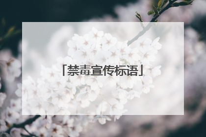 禁毒宣传标语