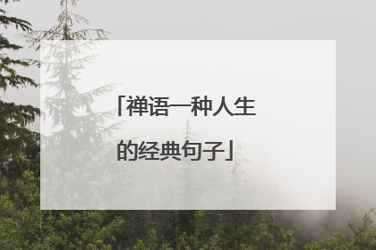 禅语一种人生的经典句子