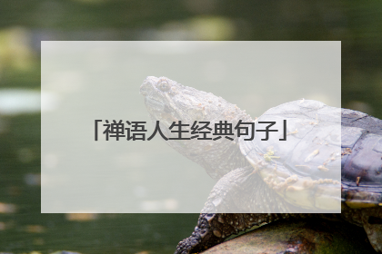 禅语人生经典句子