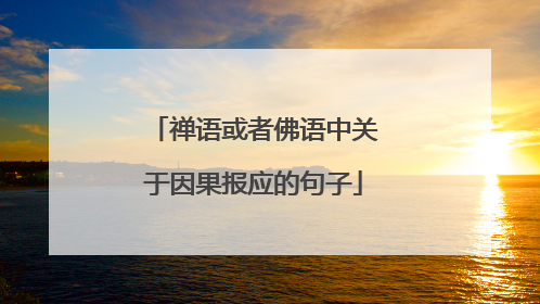 禅语或者佛语中关于因果报应的句子