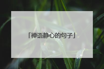 禅语静心的句子