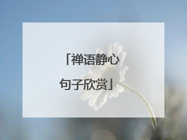 禅语静心句子欣赏