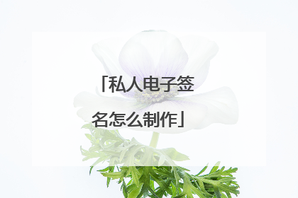 私人电子签名怎么制作