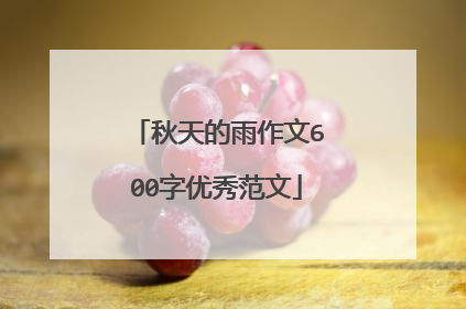 秋天的雨作文600字优秀范文