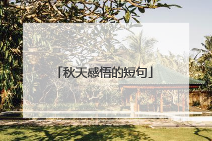 秋天感悟的短句