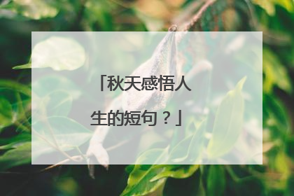 秋天感悟人生的短句?