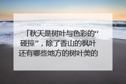 秋天是树叶与色彩的“碰撞”，除了香山的枫叶还有哪些地方的树叶美的让人移不开眼？