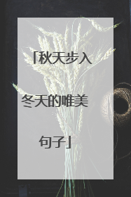 秋天步入冬天的唯美句子