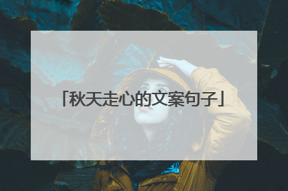 秋天走心的文案句子