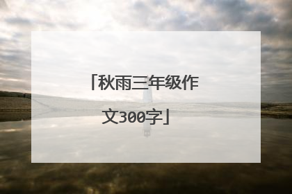 秋雨三年级作文300字