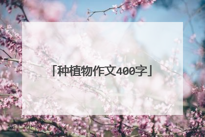 种植物作文400字