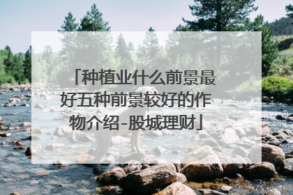 种植业什么前景最好五种前景较好的作物介绍-股城理财