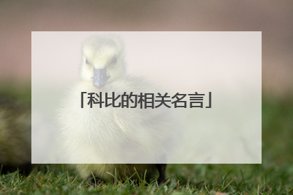 科比的相关名言