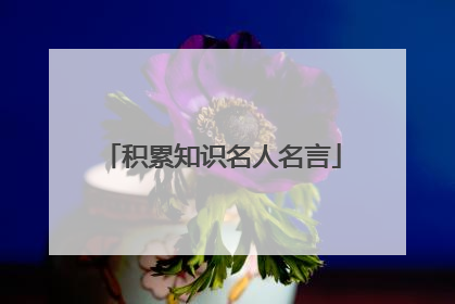 积累知识名人名言