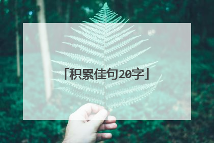 积累佳句20字