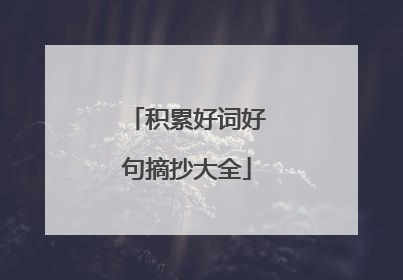 积累好词好句摘抄大全