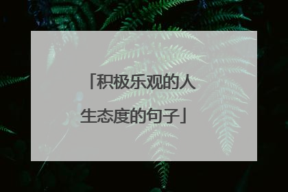 积极乐观的人生态度的句子