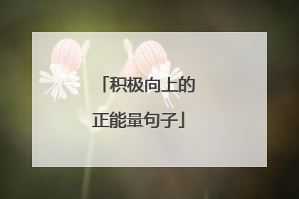 积极向上的正能量句子