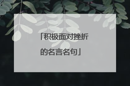 积极面对挫折的名言名句