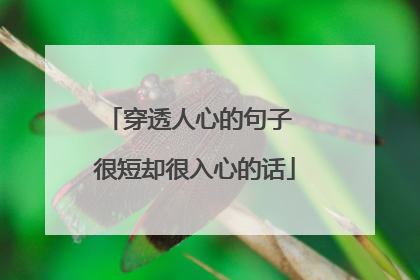 穿透人心的句子 很短却很入心的话