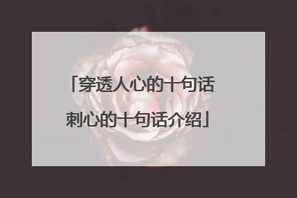 穿透人心的十句话 刺心的十句话介绍