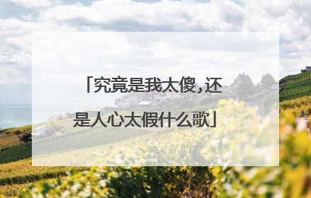 究竟是我太傻,还是人心太假什么歌