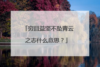 穷且益坚不坠青云之志什么意思？
