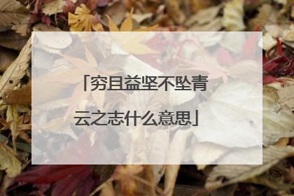 穷且益坚不坠青云之志什么意思