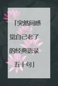突然间感觉自己老了的经典语录五十句
