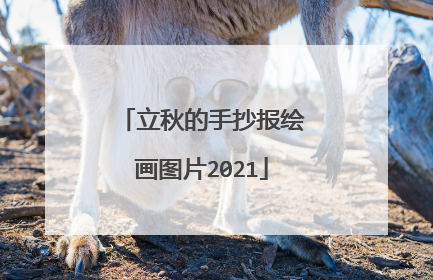 立秋的手抄报绘画图片2021