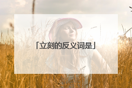 立刻的反义词是