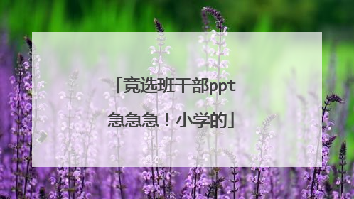 竞选班干部ppt 急急急!小学的