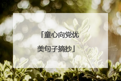 童心向党优美句子摘抄