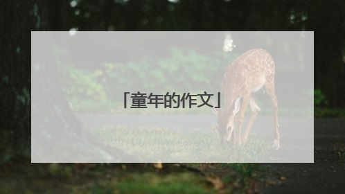童年的作文