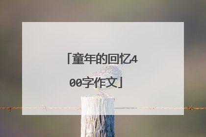 童年的回忆400字作文