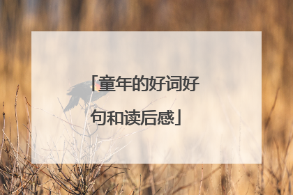 童年的好词好句和读后感