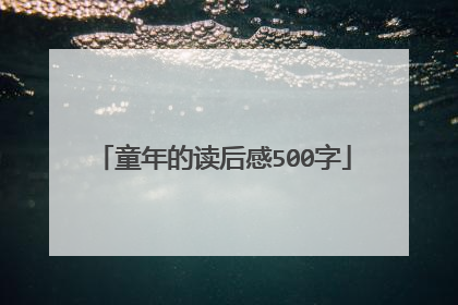 童年的读后感500字