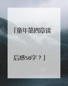 童年第四章读后感50字?