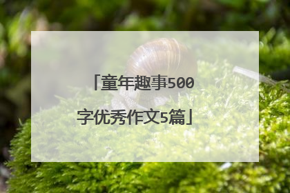 童年趣事500字优秀作文5篇