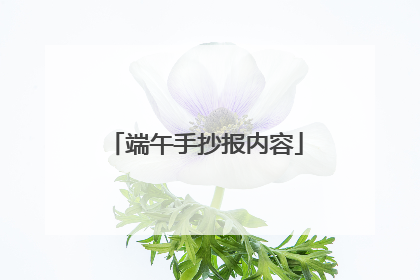 端午手抄报内容